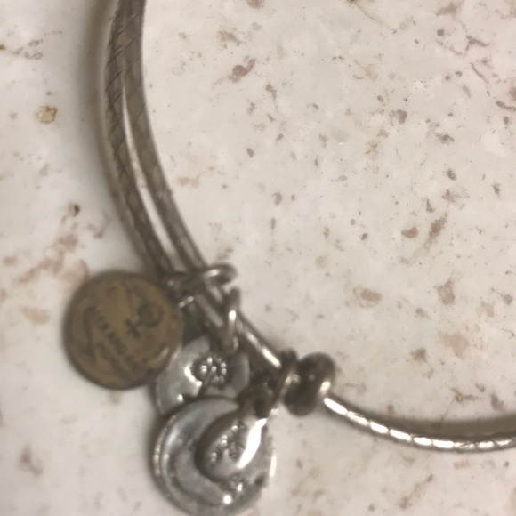 Alex and Ani Snake Coil Bracelet - Picture 4 of 4